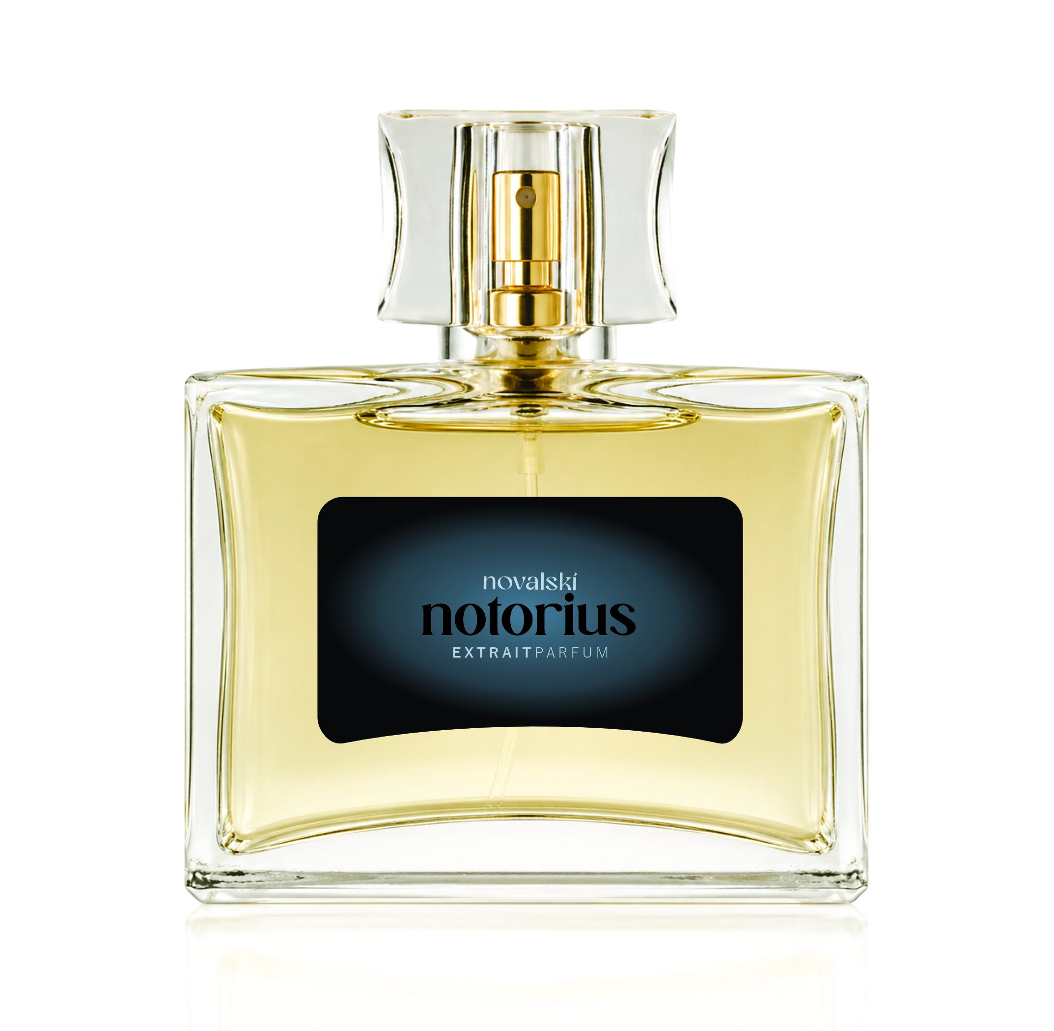 1. Notorius Notorius Extrait Parfum - 100mL - Imagem 1