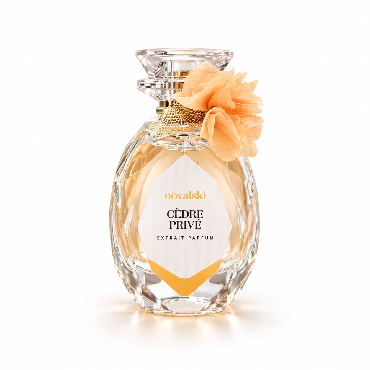 WhatsApp Image 2026-10-12 at 12.58.18 CÈDRE PRIVÉ | Extrait Parfum - 60mL - Imagem 1